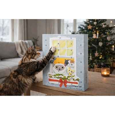 Companion julekalender